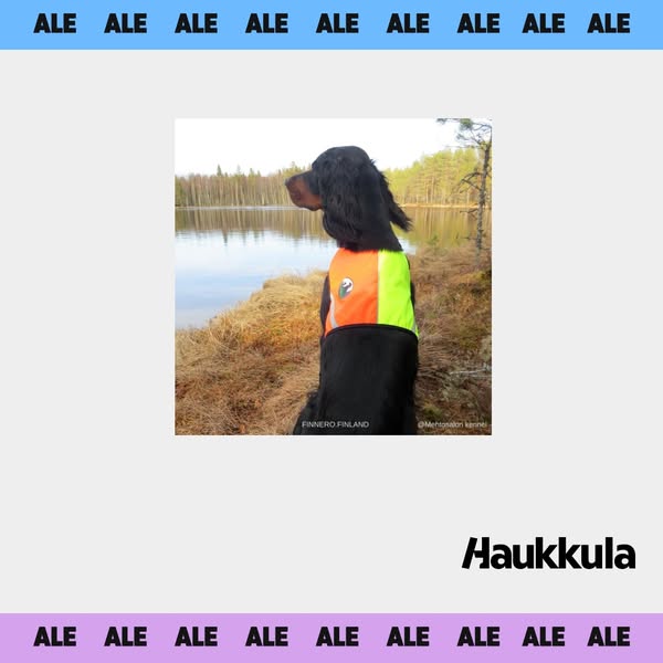 Koiratarvike Haukkula