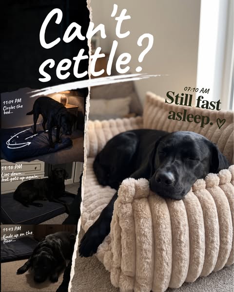 Sometimes it’s the bed