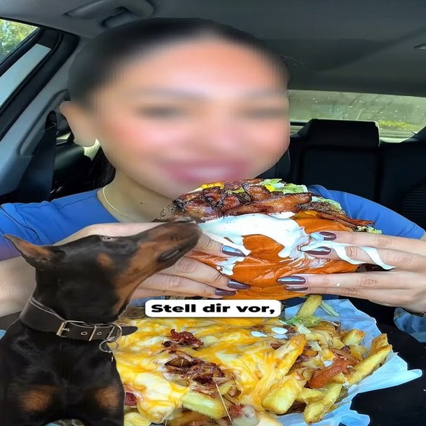 Teste jetzt unsere neuen Frische Menüs