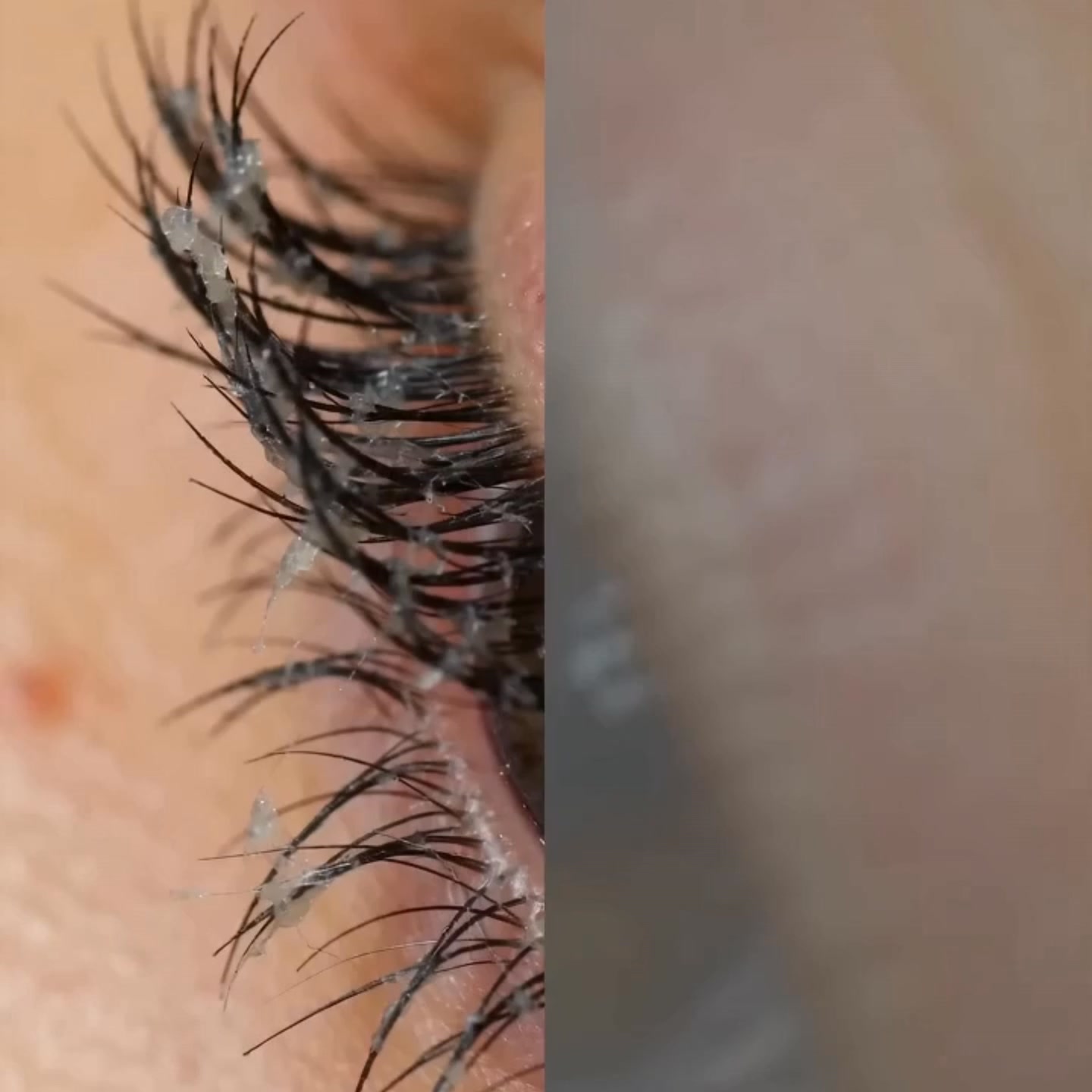 Magnetic Lash Sale Today