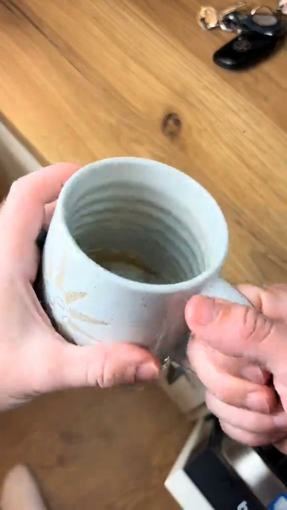 Fruit Fly Traps