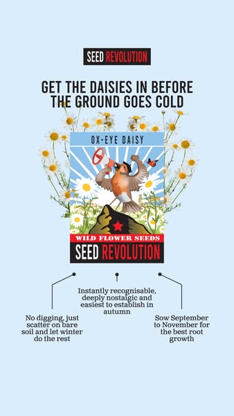 River Cottage Veg Seeds