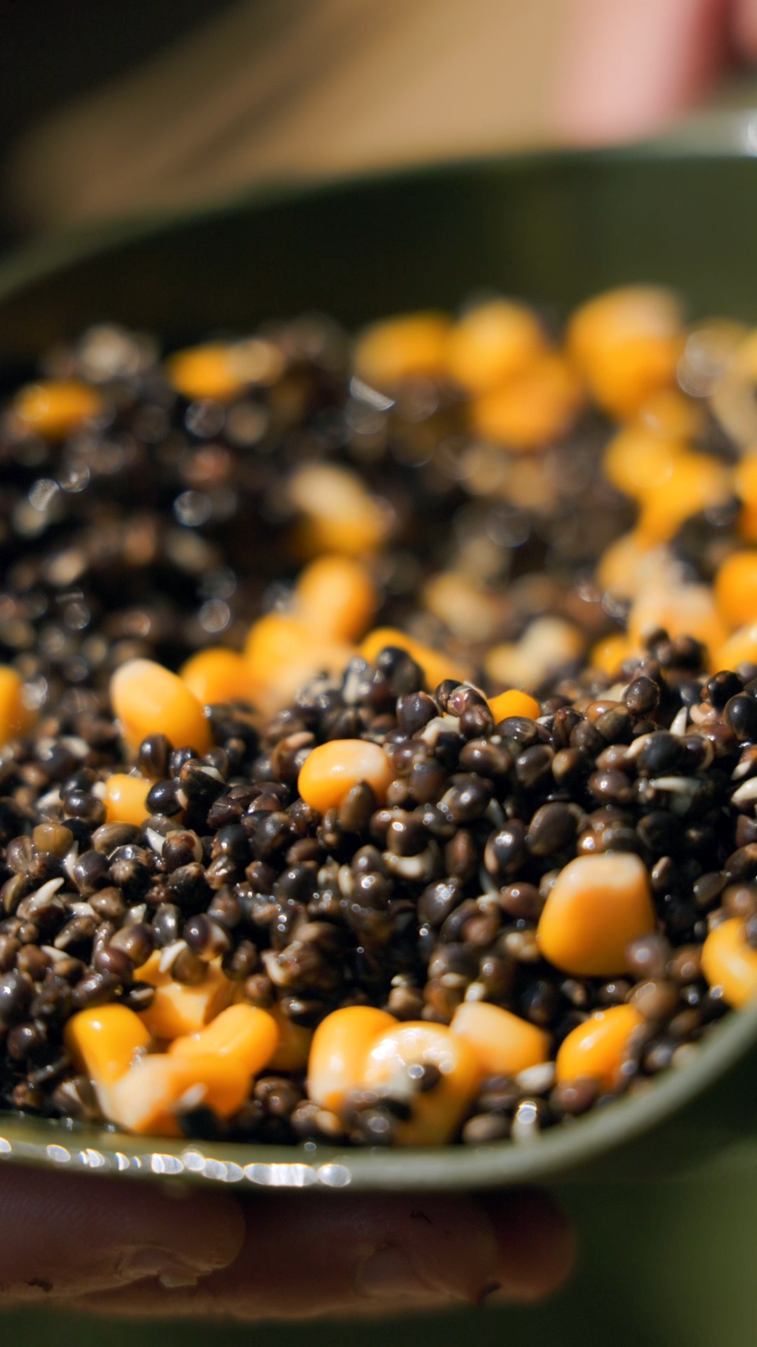 Carp Bait | Boilies | Pellets | Particles | Kent Particles