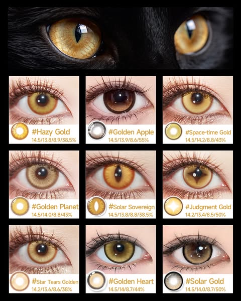 Sigocontacts: Colored Contact Lenses | Catch your colorful here!!