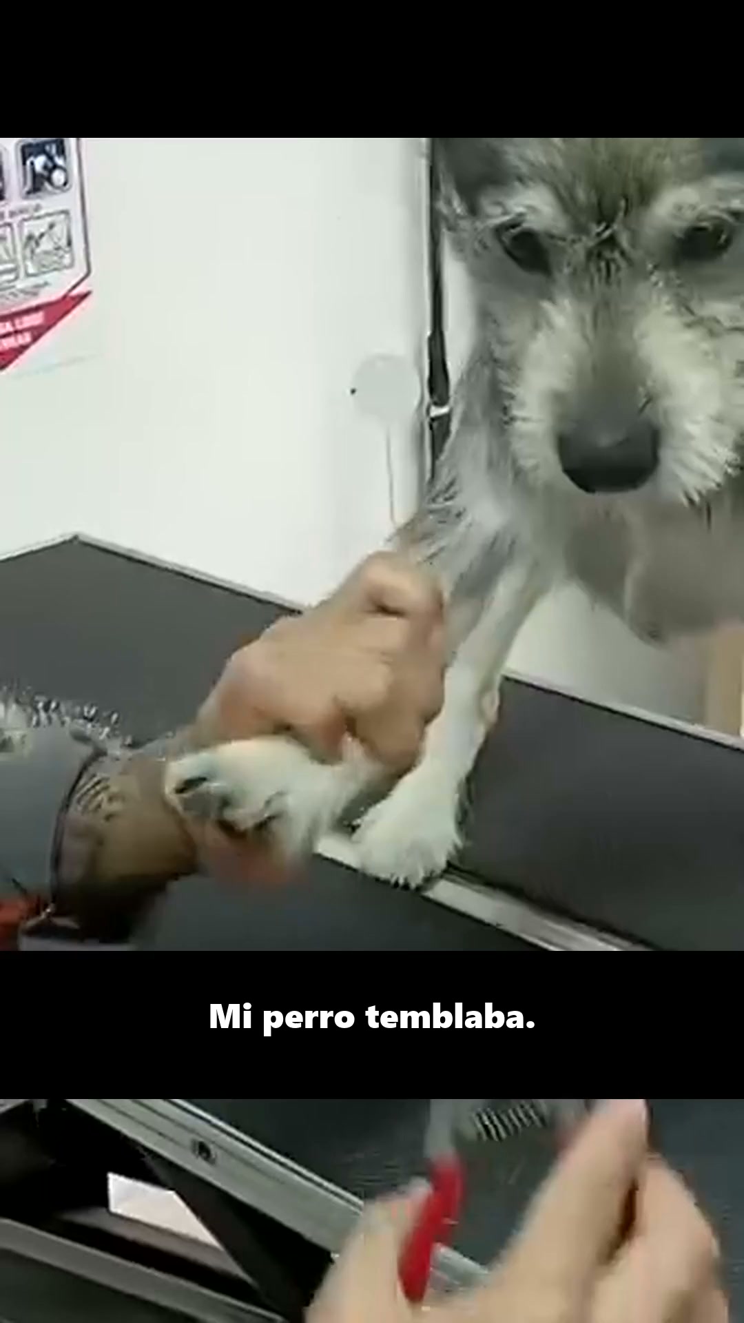 Nunca más un corte de más