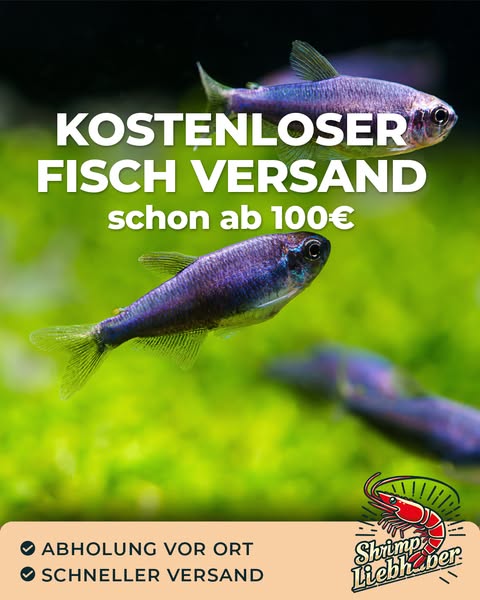 Fische