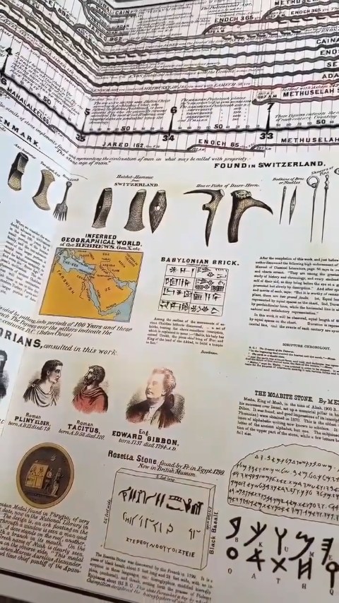 SPECIAL OFFER | Synchronological History Chart – 6,000 Years of Biblical & World Events in One Fold-Out Timeline