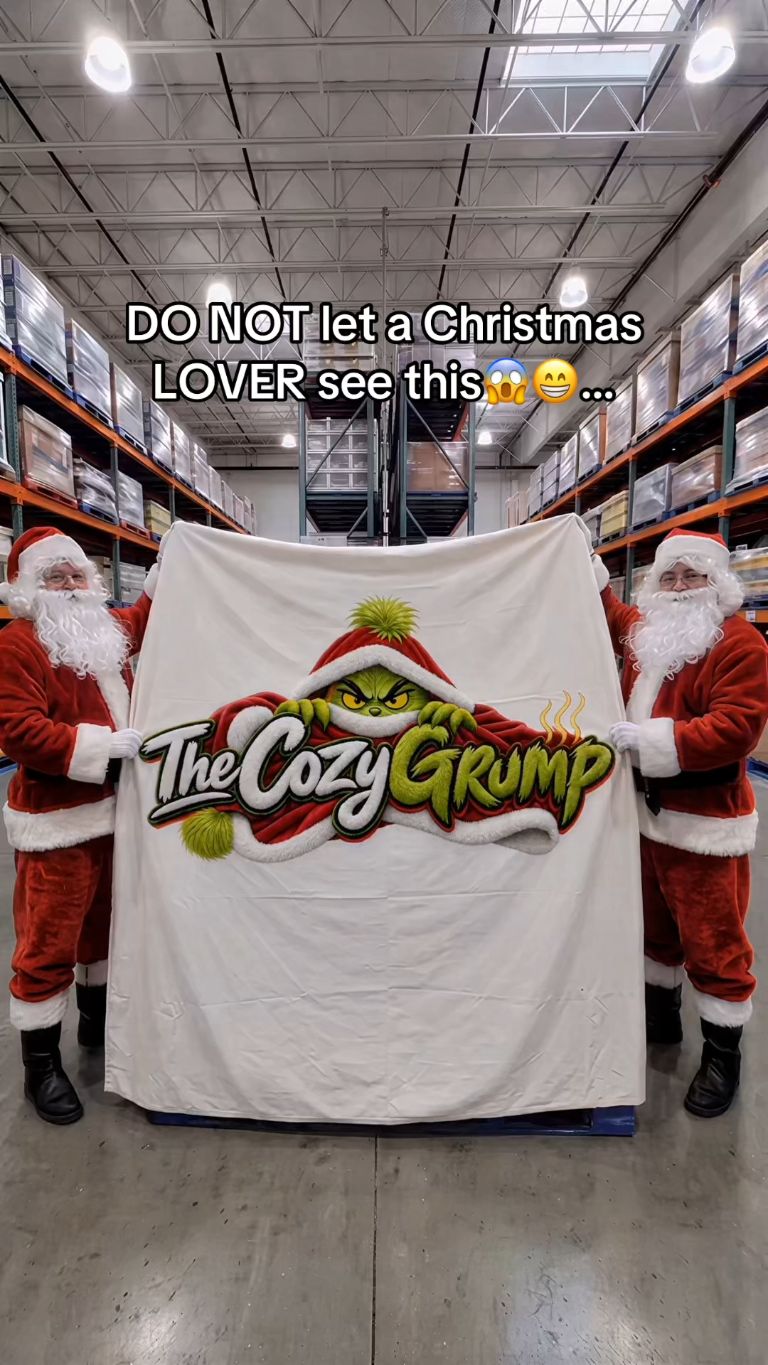 Holiday Character Heated Robe