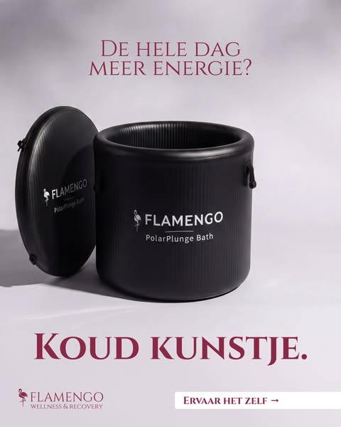 De hele dag meer energie