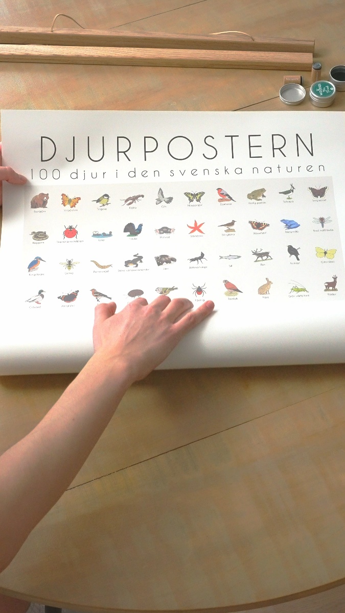 100 djur från Sverige - på en poster