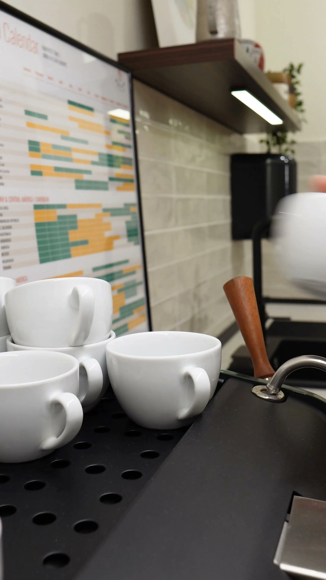 Café recién tostado, en 24/48 h