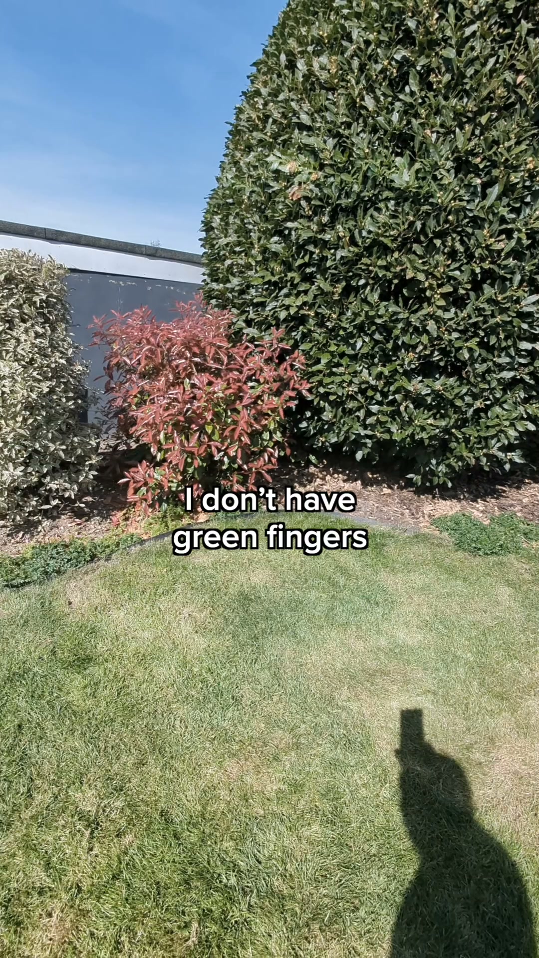 No Green Fingers Needed