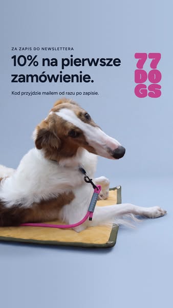 10% na pierwsze zamówienie