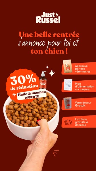 Déjà 100 000+ propriétaires
