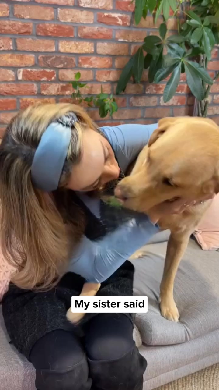Clean your dog's teeth in 30 seconds without brushing