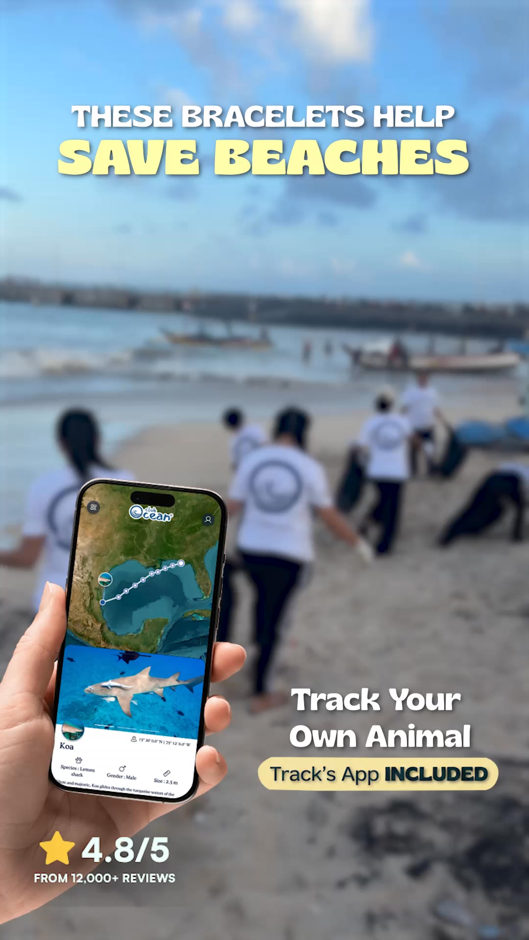 For Those Who Love the Ocean
