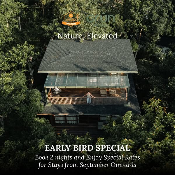 August Early Bird: Treetop Wellness Stay