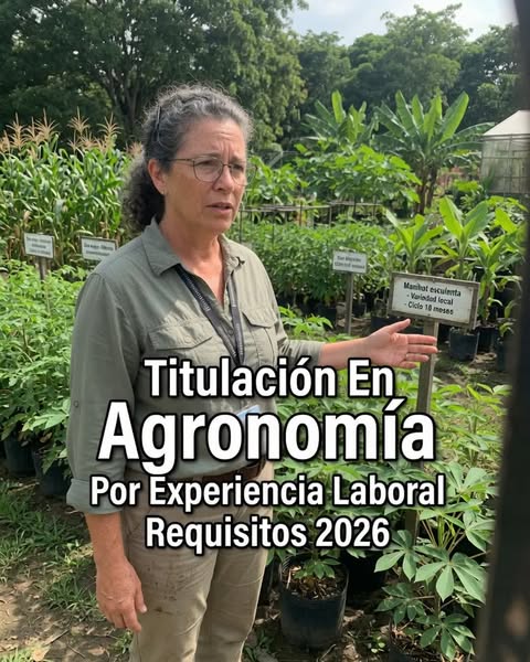 Qué Saber Sobre la Titulación en Agronomía por Experiencia