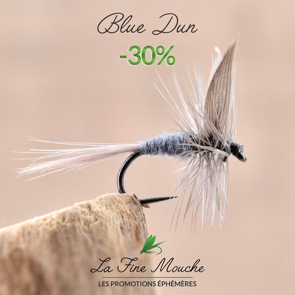 Mouche Sèche Blue Dun - Subimago Mouche de Mai