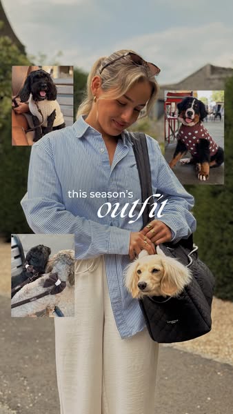 New Season. New Pup Fit.