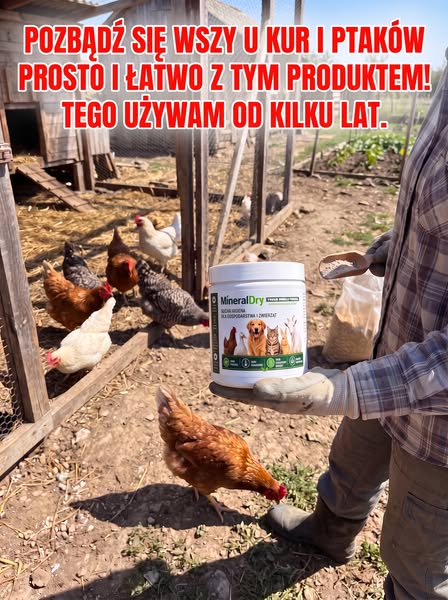 3+1 GRATIS – Przywróć produkcję jaj!