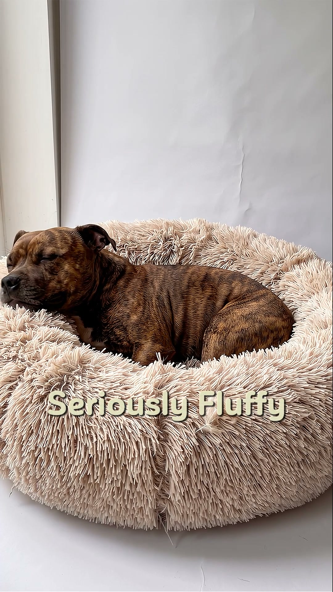 CloudNest™ Calming Dog Bed