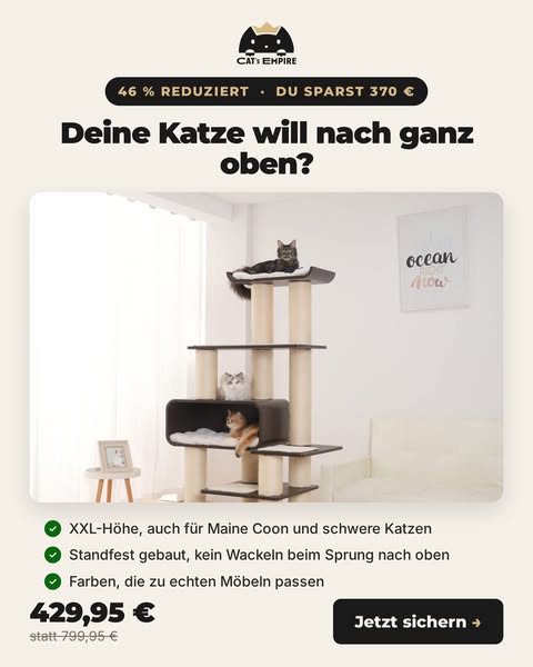 Alcazar XXL für 429,95 €
