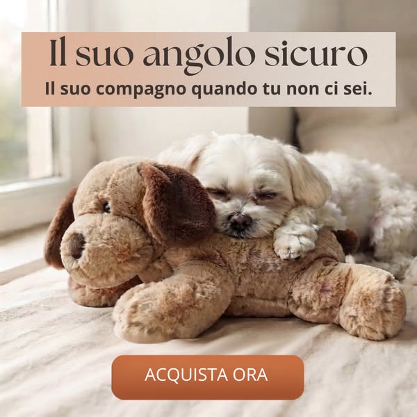 Spedizione Gratuita