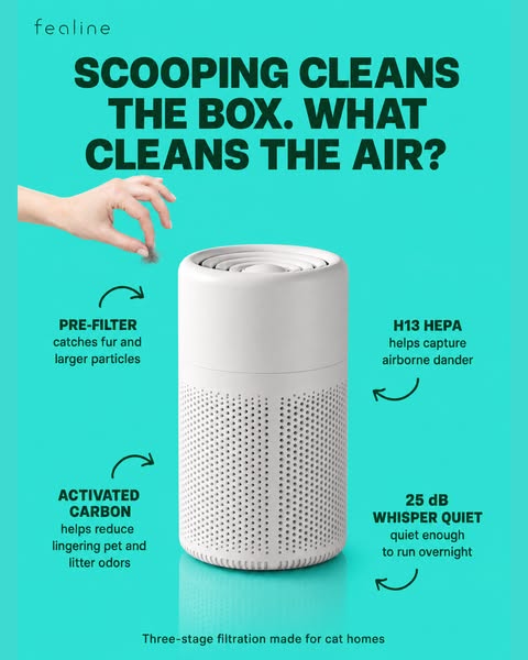 Tired of That Cat Pee Smell?