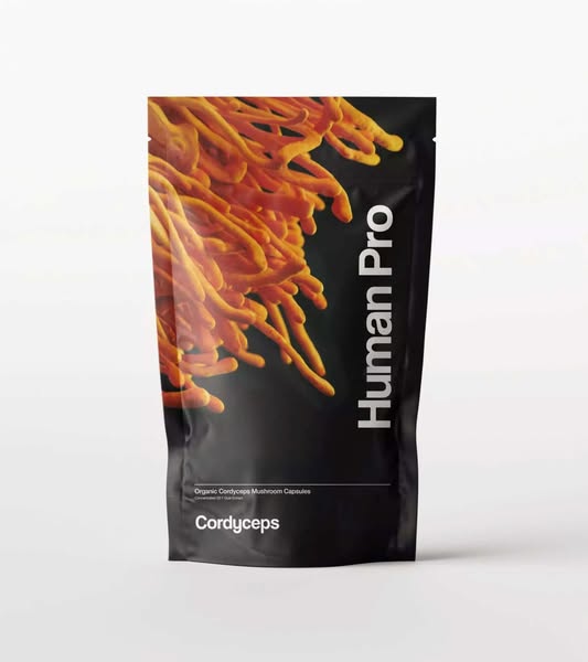 Cordyceps