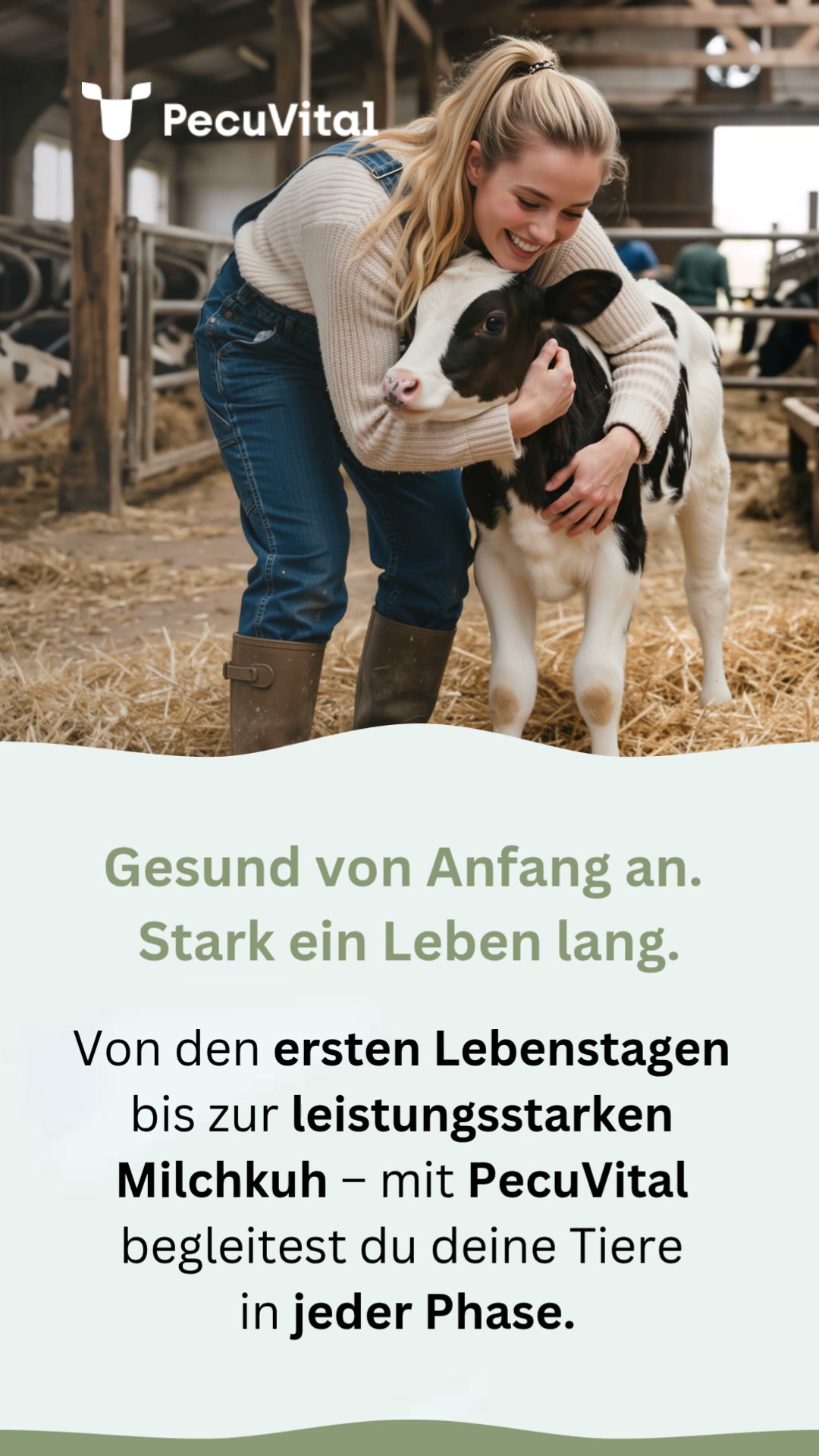 PecuVital – Für gesunde & leistungsstarke Kühe