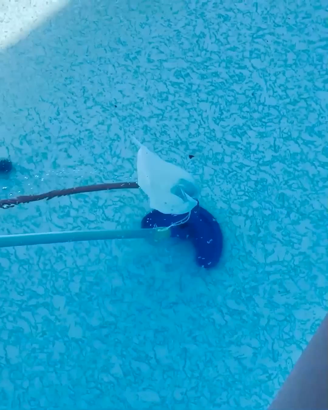 Pulitore per piscine - poolcleaner