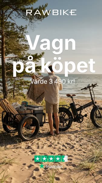 Cargo Trailer värd 3 490 kr