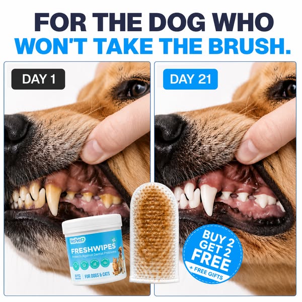 Same dog. 21 days apart.