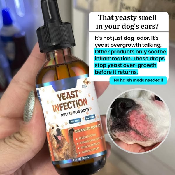 Puppy Yeast Relief Agent