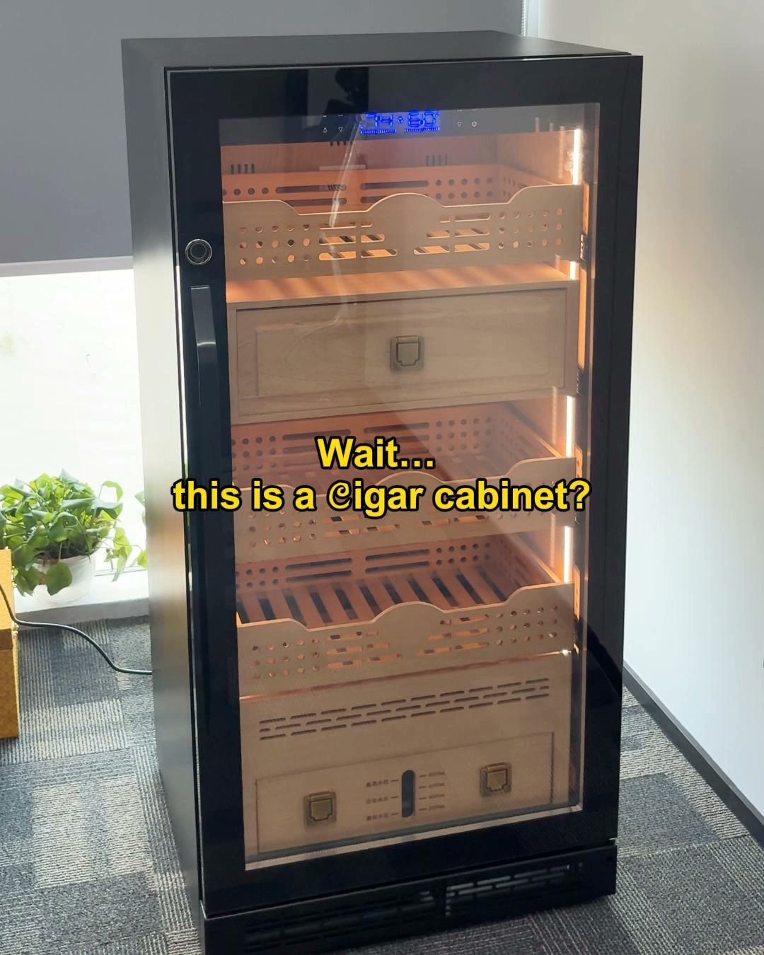 Up to 1,000 Pieces. One Serious Collection Cabinet.