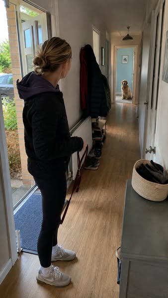They Deserve Comfortable Walks
