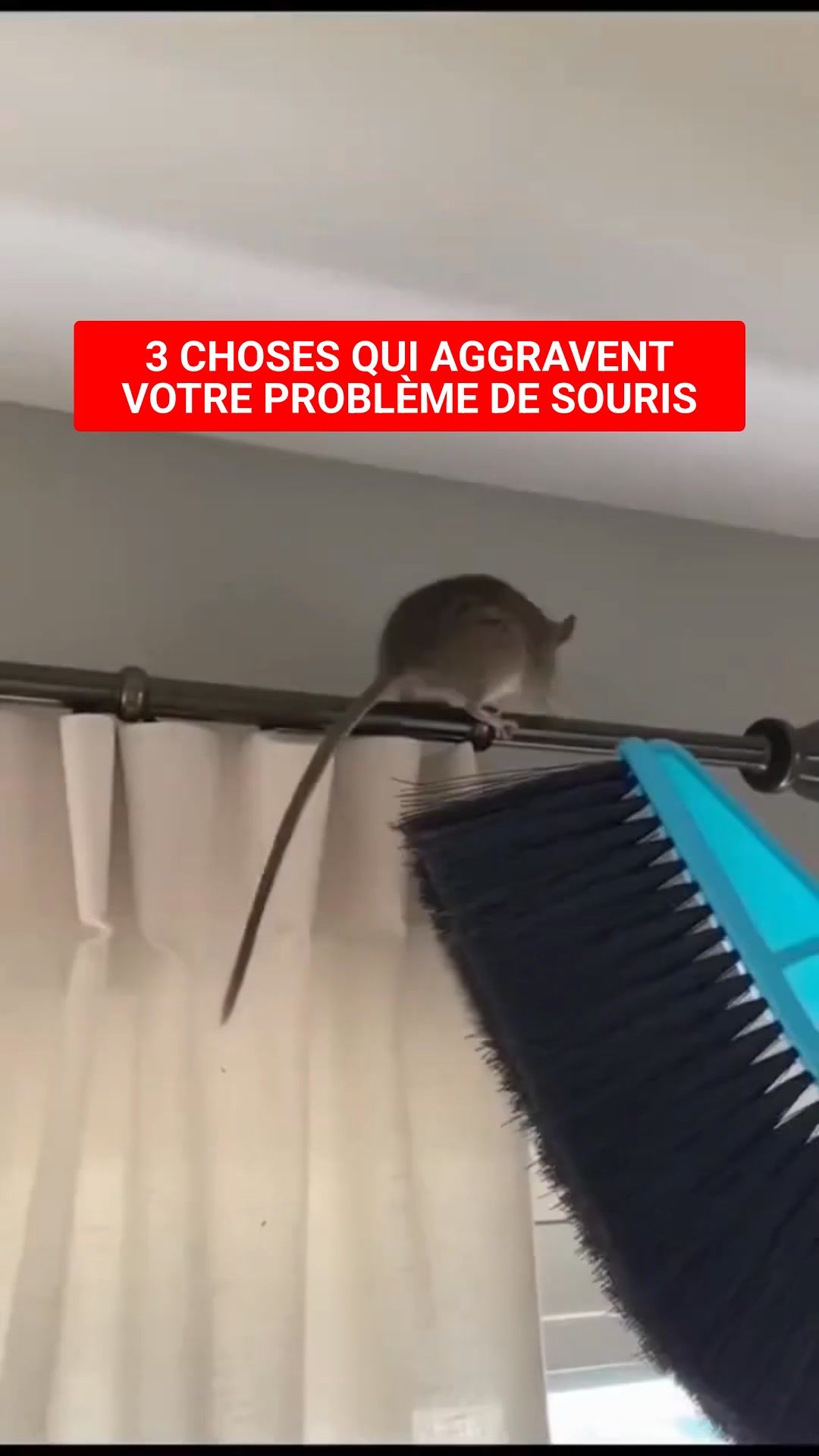 Toutes les solutions pour souris ont échoué. Sauf celle-ci...