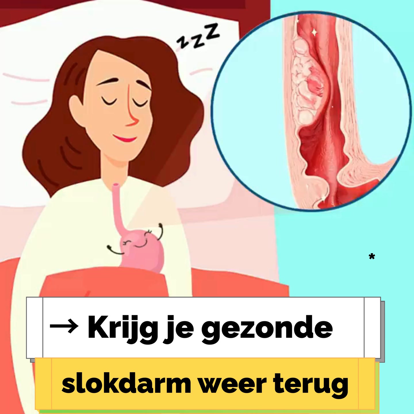 LAATSTE DAG 1 + 1 GRATIS - MIS HET NIET