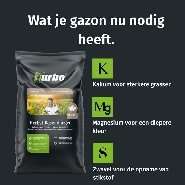 Je gazon redden na de zomer