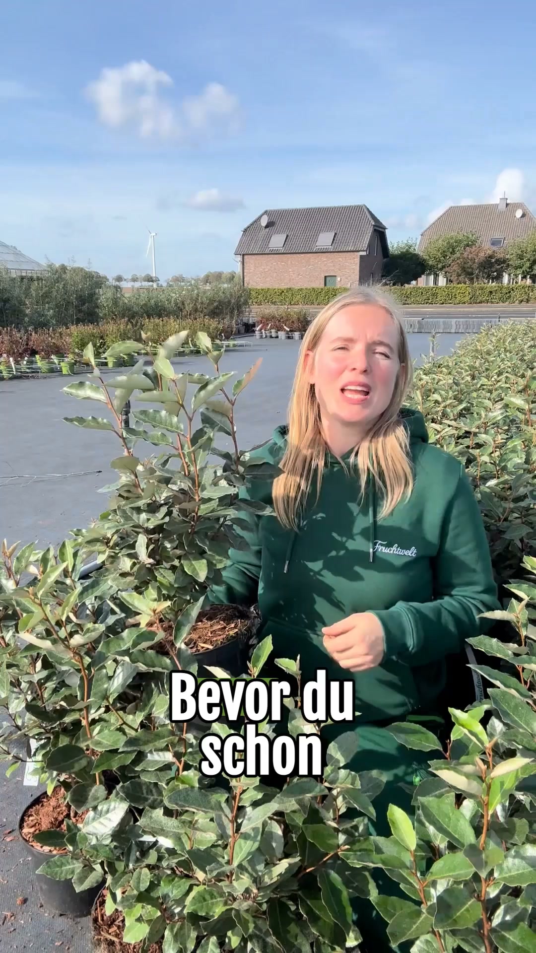 Die Wunder-Hecke – 6 für 3 Aktion
