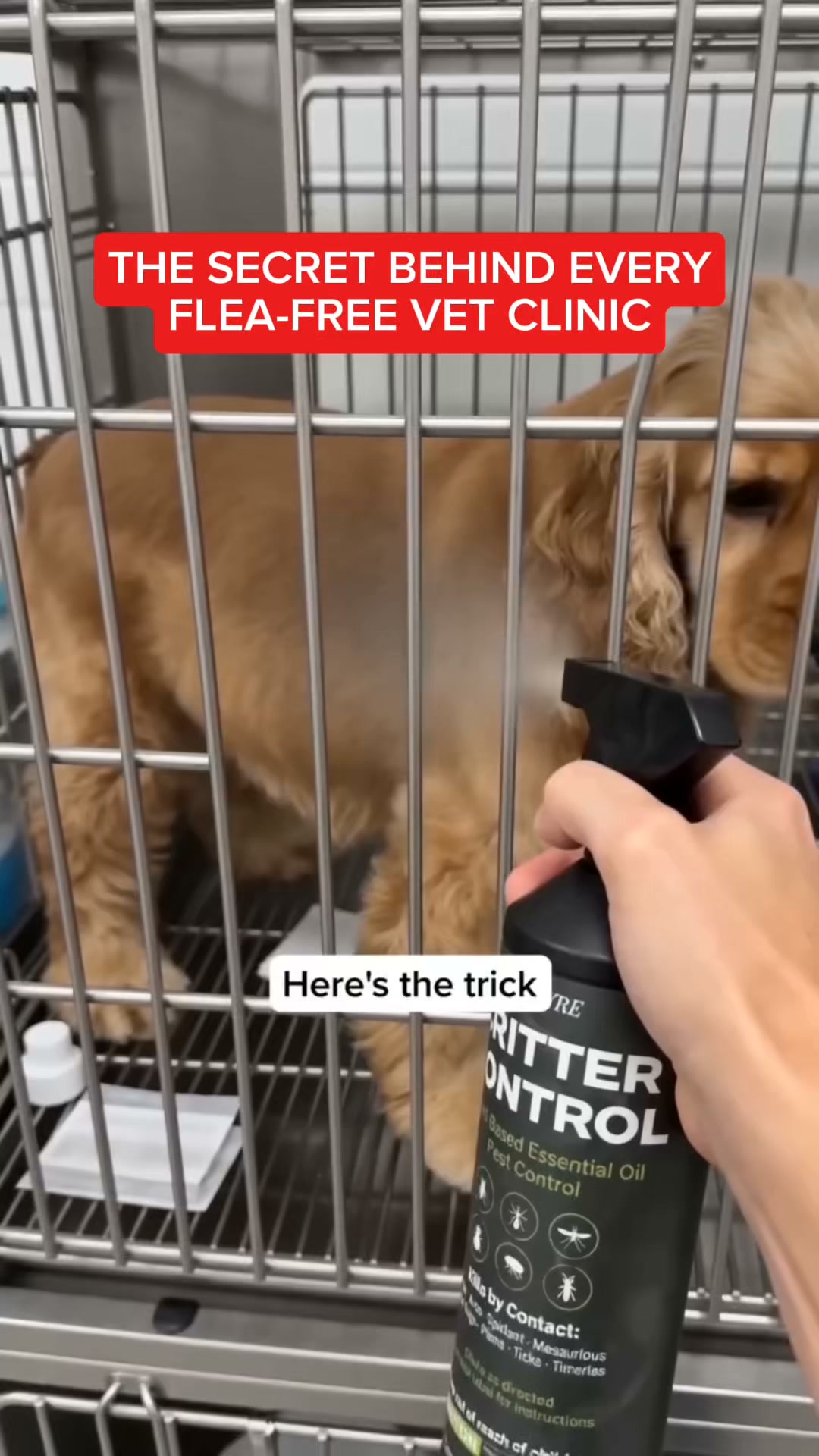 The Pet Rescue Flea & Tick Trick