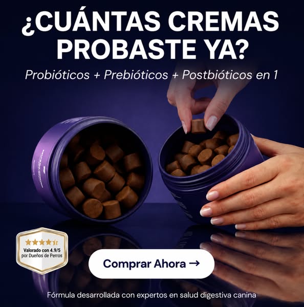 Apoya la digestión de tu perro