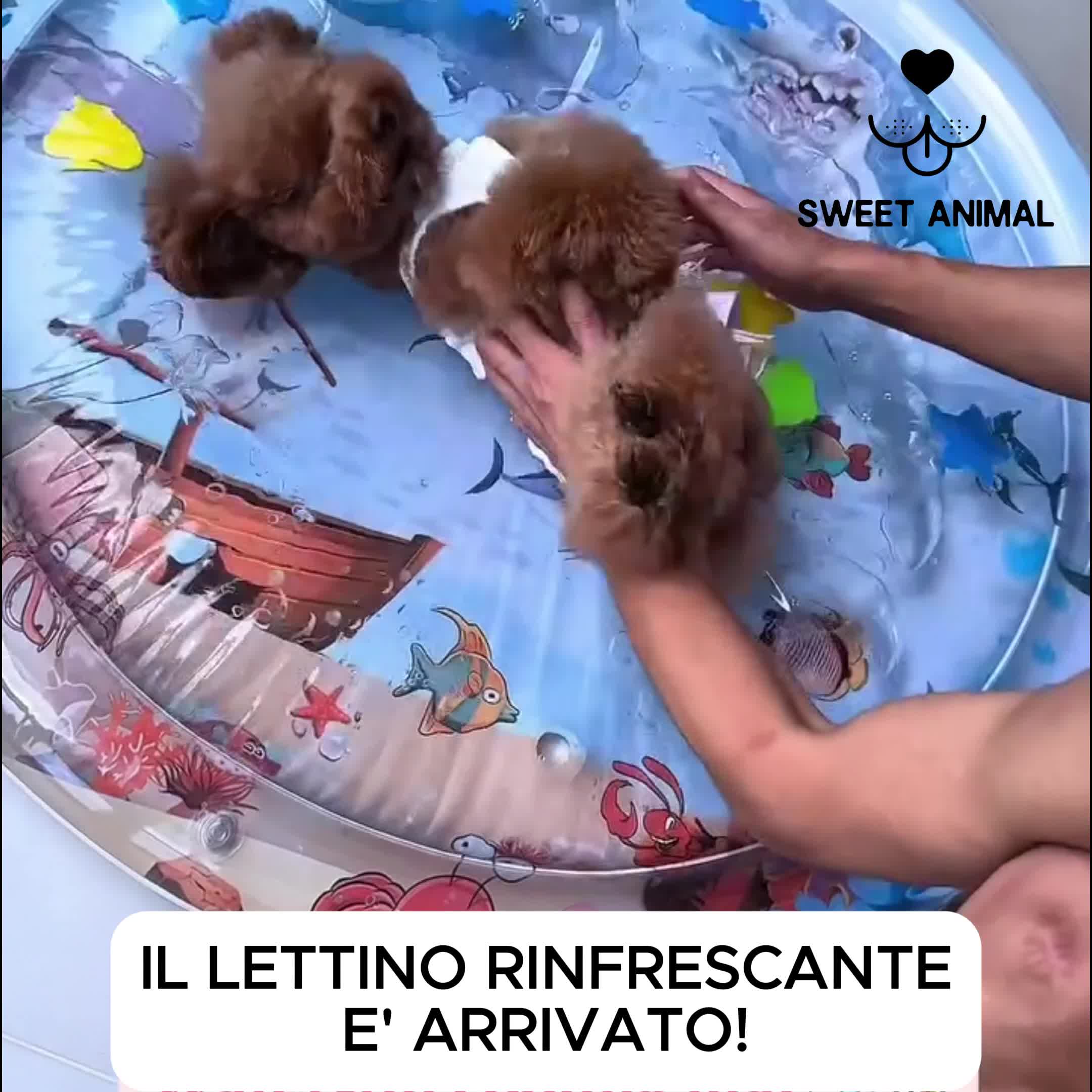 Oasi rinfrescante!