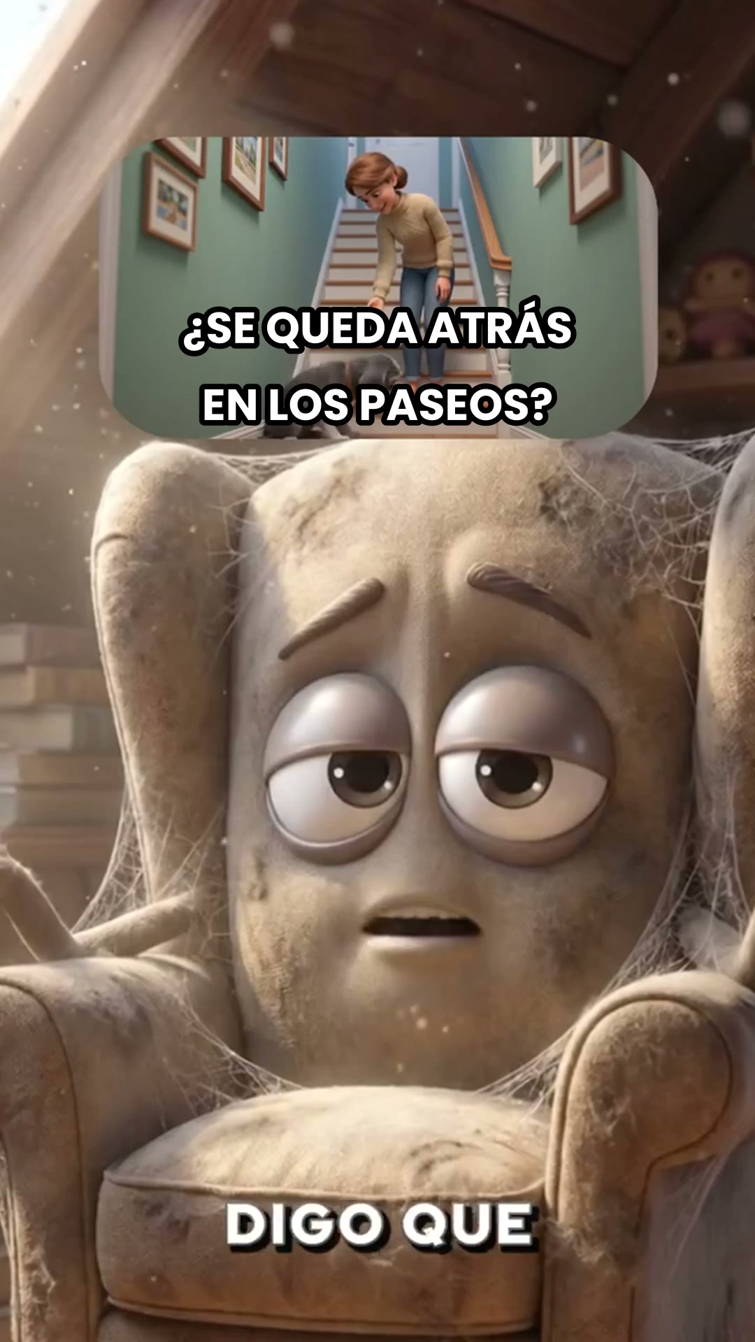 ENVÍOS GRATIS + PAGAS AL RECIBIR