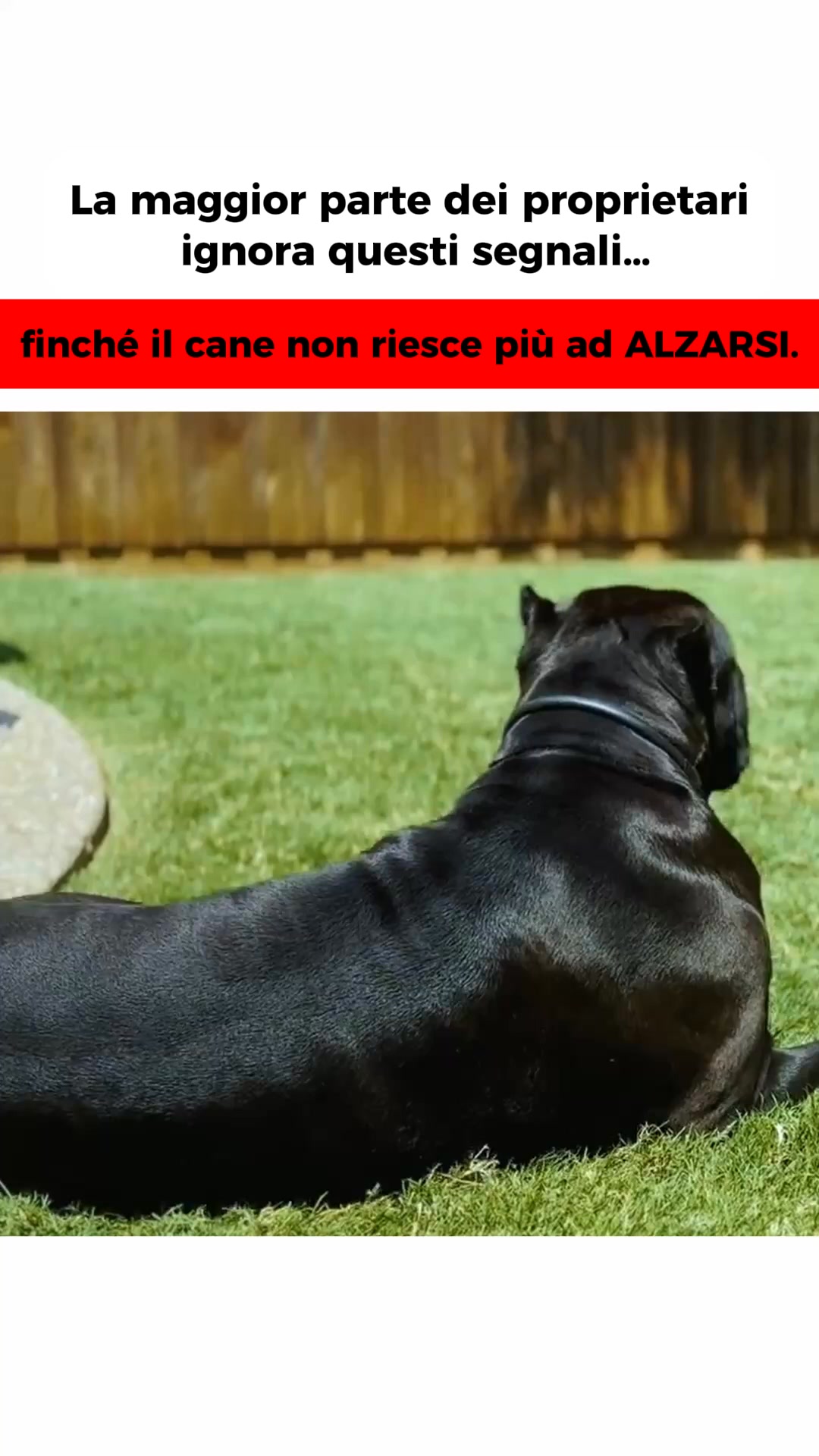 15.000 recensioni su TrustPilot