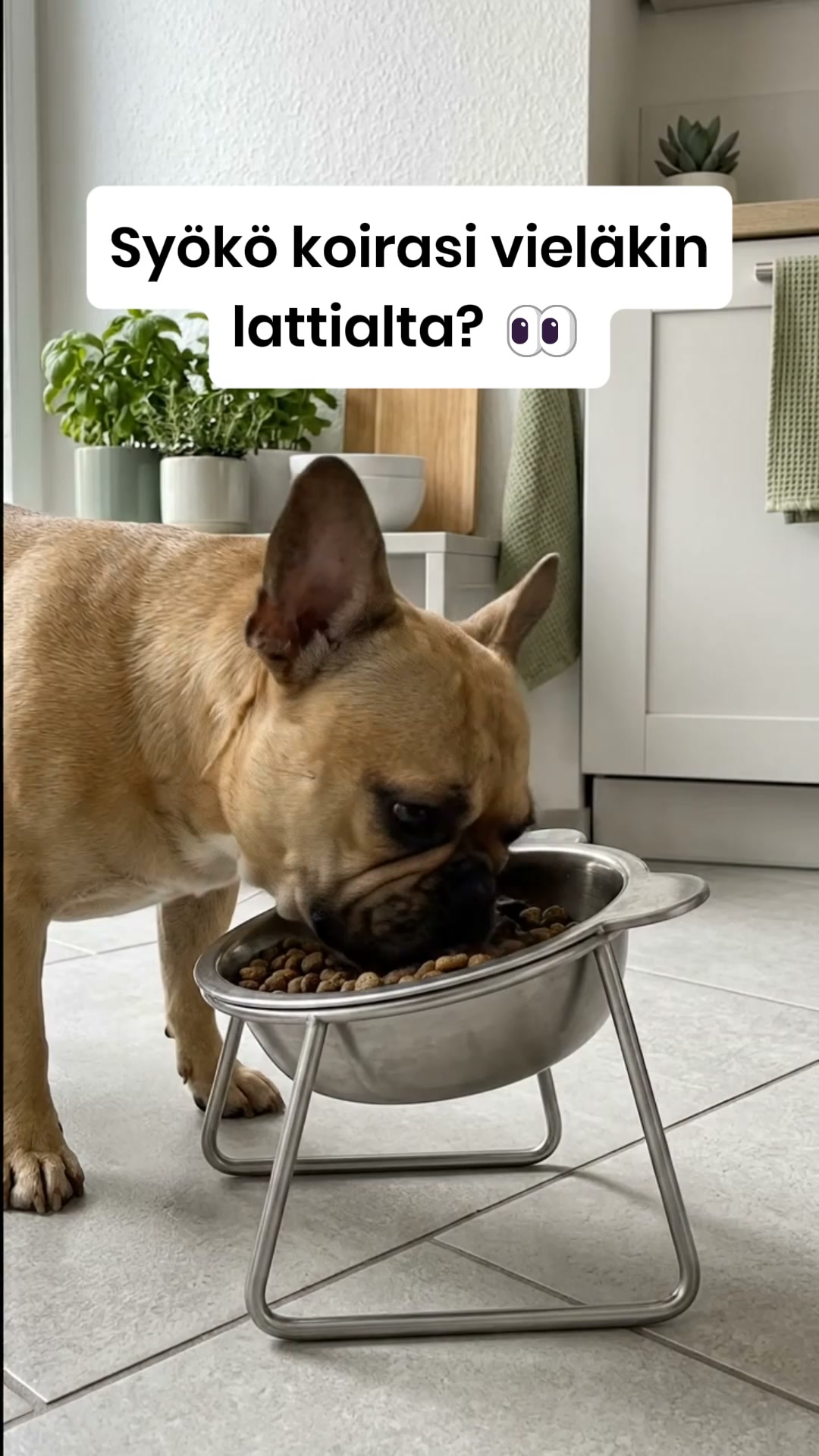 Unohda muovi. Paranna ruokailuhetkeä.