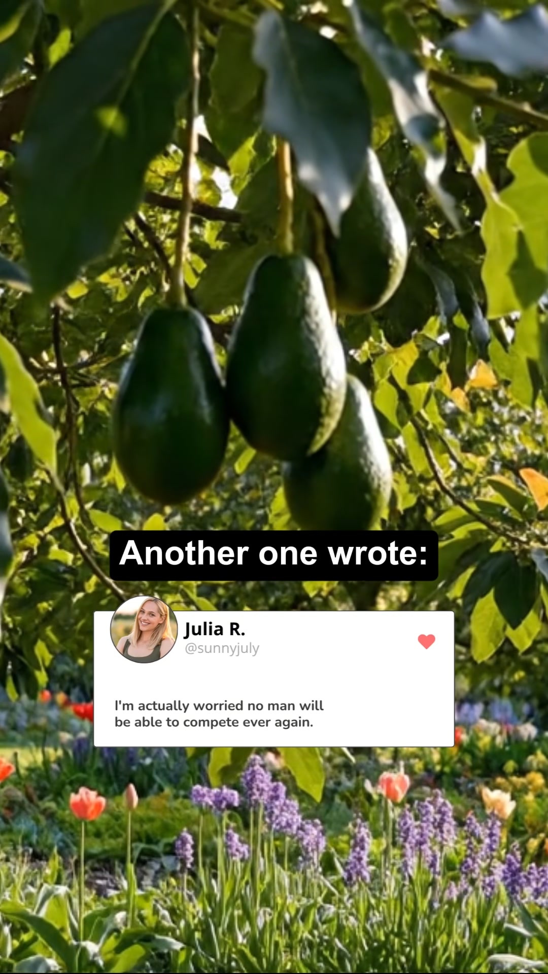 Meet Avo, Your New Obsession