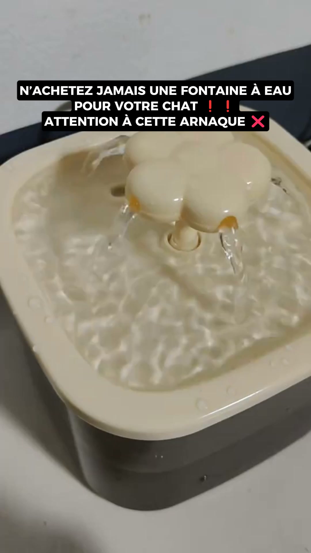 Recommandé par 10 000 maîtres