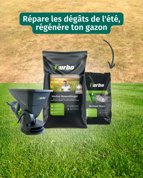 Sauver son gazon après l'été